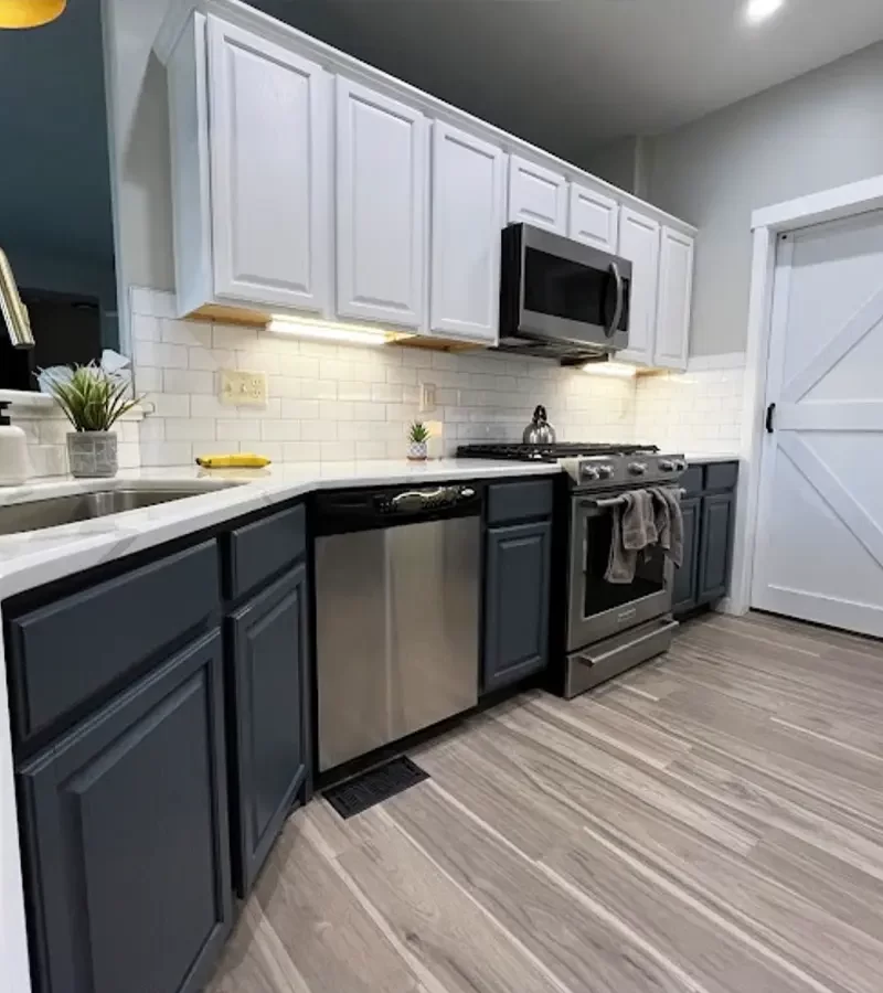 cabinet-painting-gallery1