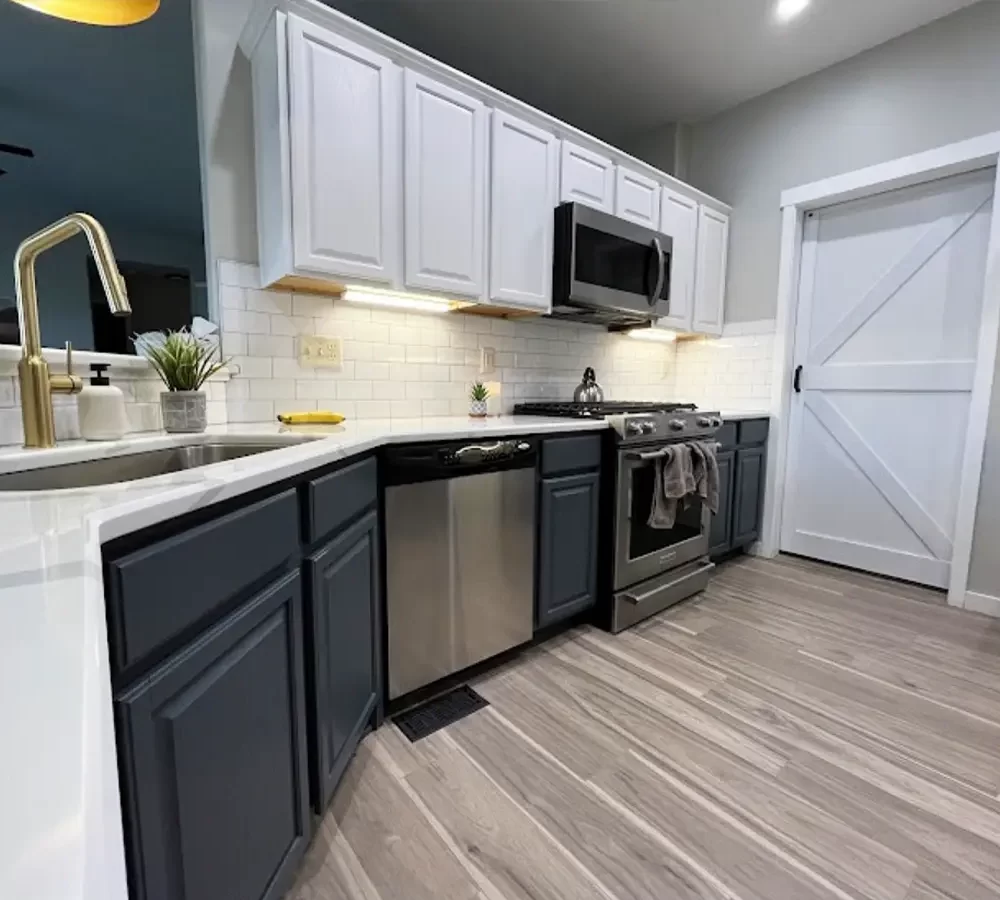 cabinet-painting-gallery1