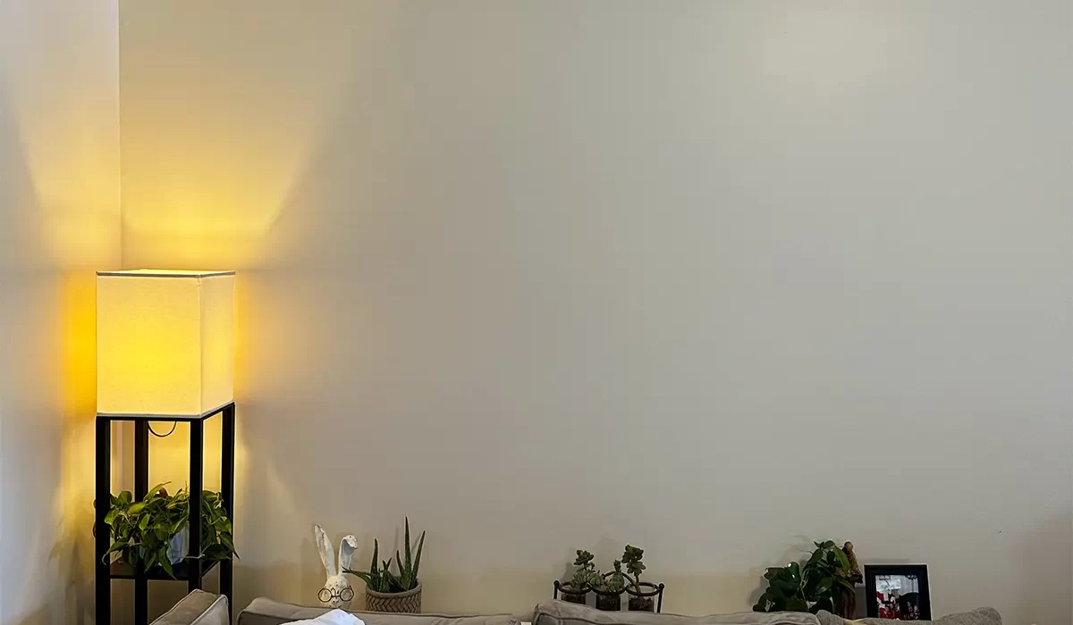 interior-painting-gallery6